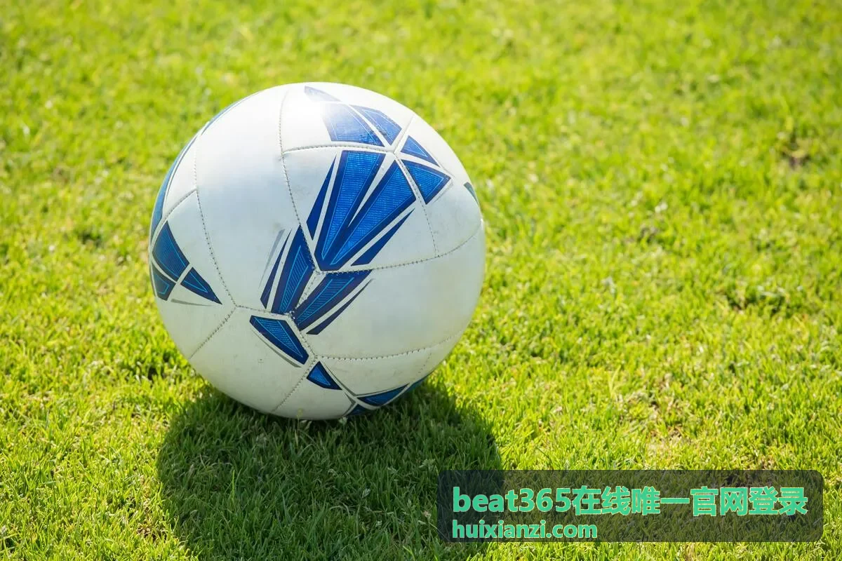 beat365在线唯一官网登录安全登录流程说明图